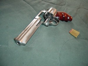 A Fantasy Ruger SP101 w/Small Grips