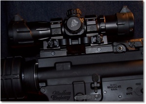 The UTG DS3068 6.4-Inch ITA Red/Green Dot Sight  mounted on the WW "SRC" via two UTG Low Profile Riser Mount with 3 slots