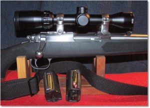 Bushnell Banner Dusk & Dawn Circle-X Reticle Riflescope, 1-4X 32mm Mounted. Ten rounds of Hornady 140-grain FTX at the Ready. Note that the SKS sling works perfect on this carbine