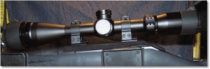 Scope Mounted with Warne scope rings.