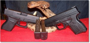 The Glock G43 and the Springfield XDs 4.0 9mm