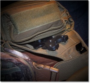 The Wheeler 156-999 Delta Series AR Combo Tool and My Fox Tactical MSR "Possible" Bag are Incompatible