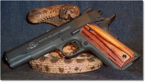 Rock Island Armory 1911A1 FS Tactical