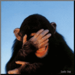 1329175713817-animated_laughing_chimp
