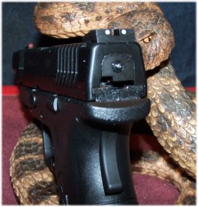 Rear View Showing Rear Sight, Striker Status Indicator, and Grip Safety