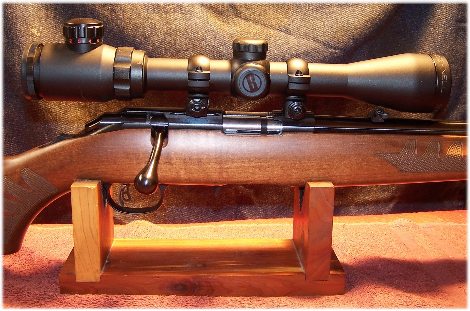 Bushnell Banner 3-9x40 Scope - Can You Say, "Over-scoped?"